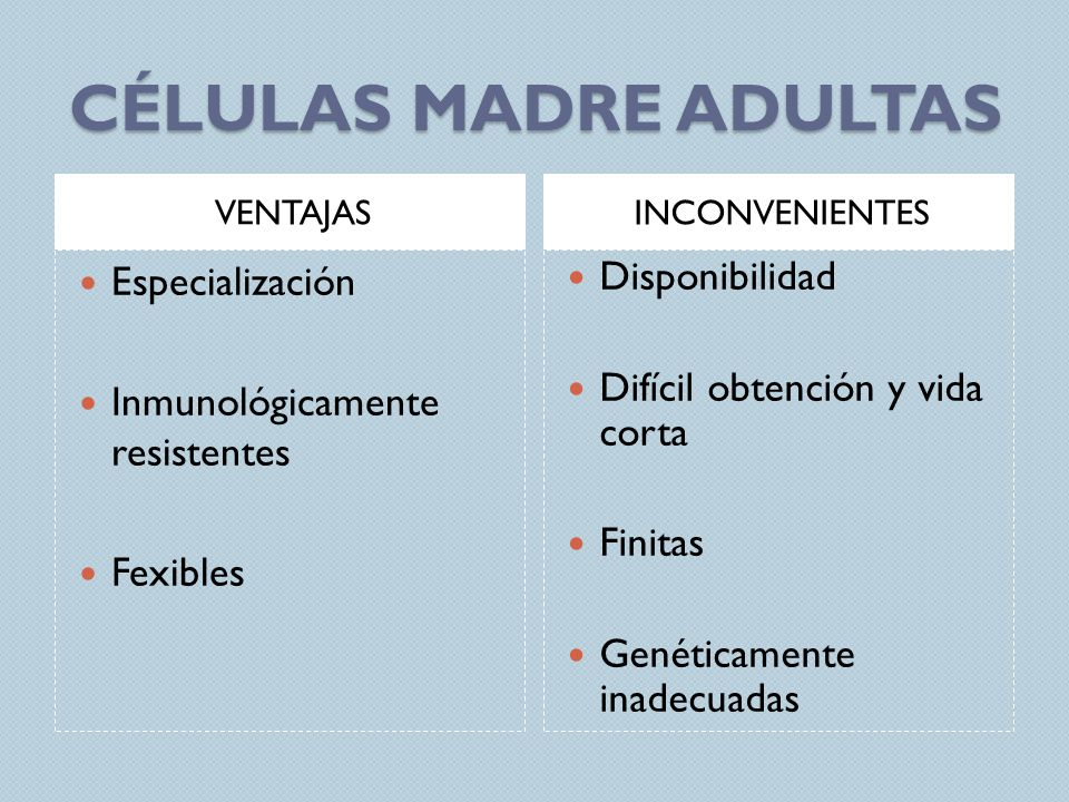 ventajas y desventajas del uso de células madre para la diabetes ventajas y desventajas del uso de células madre para la diabetes